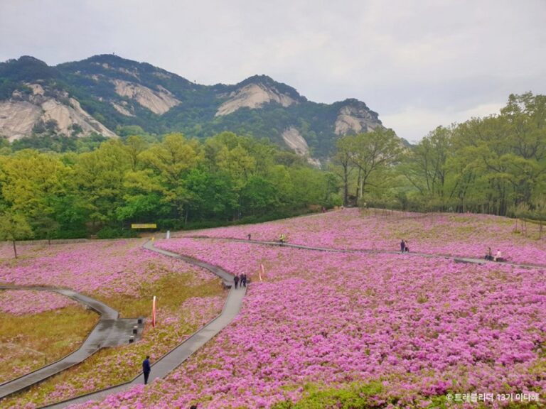 [Seoul] Schmetterlingsgarten Buramsan (불암산나비정원)