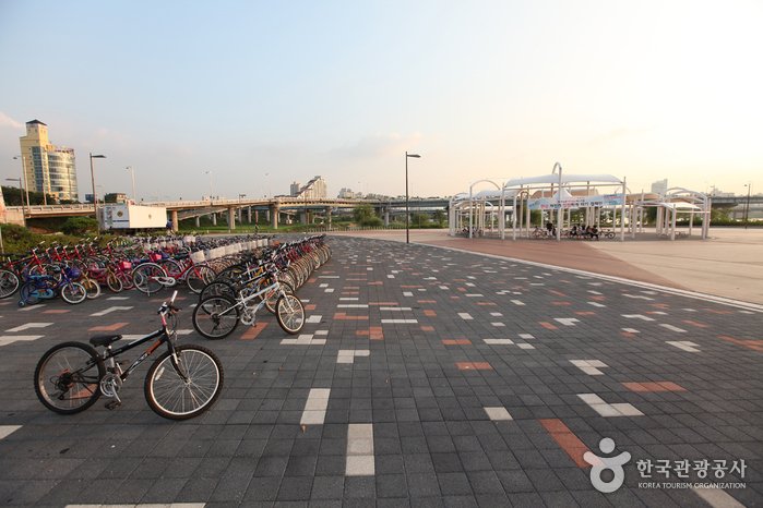 [Seoul] Hangang-Park Gwangnaru (한강시민공원 광나루지구)