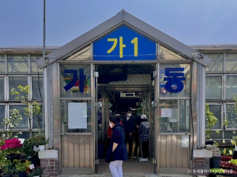 [Seoul] Blumenmarkt Yangjae (양재꽃시장)