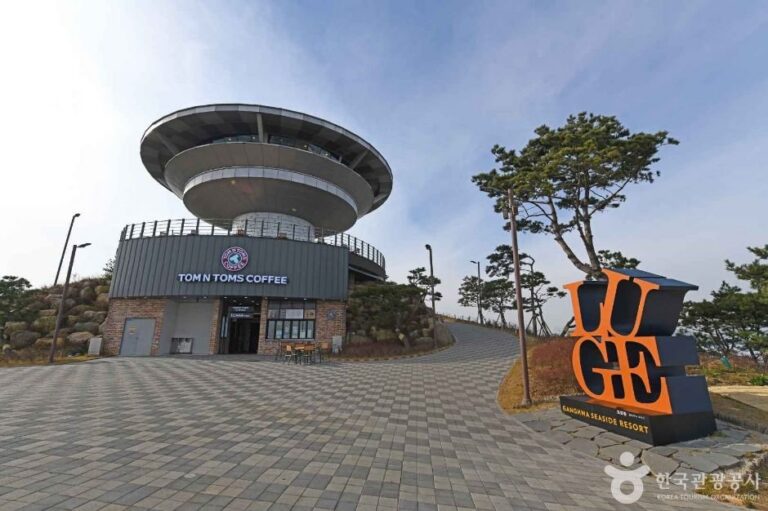 [Incheon] Ganghwa Luge (Ganghwa Seaside Resort) (강화루지(강화씨사이드리조트))