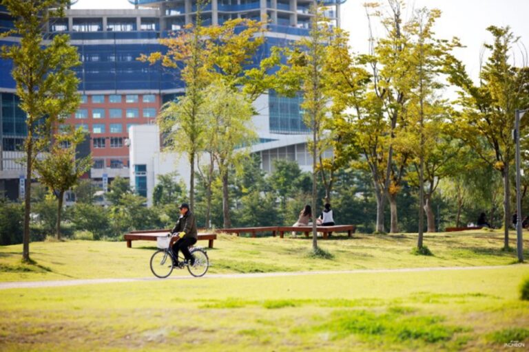 [Incheon] Songdo Dog Park (송도 도그파크)