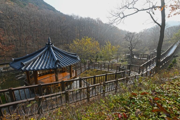 [Incheon] Seongmodo Arboretum (석모도 수목원)