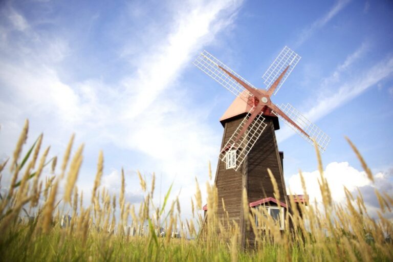 [Incheon] Öko-Sumpfpark Sorae (소래습지생태공원)