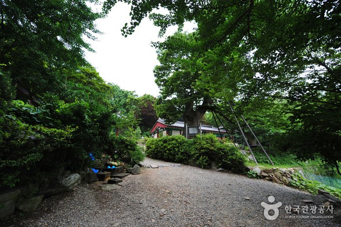 [Incheon] Tempel Yonggungsa (용궁사(인천))