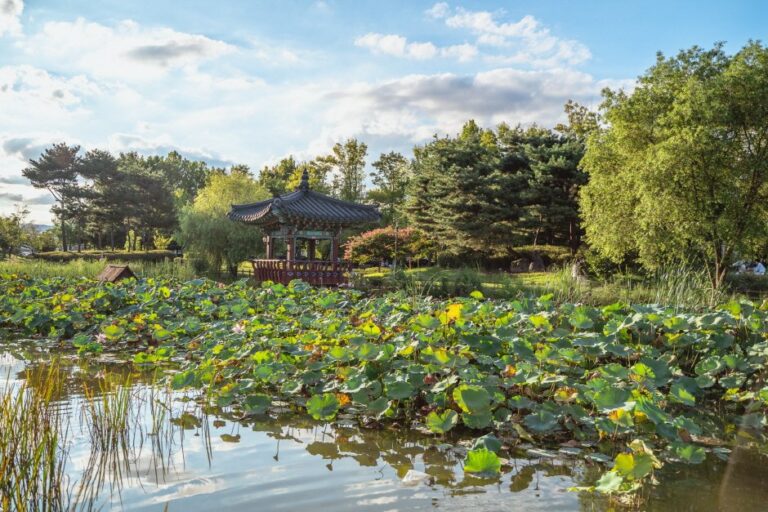 [Daejeon] Yurim-Park (유림공원)