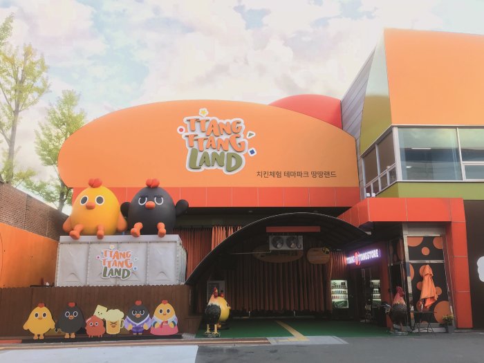 [Daegu] Ttangttang Chicken Land (치킨체험 테마파크 땅땅치킨랜드)