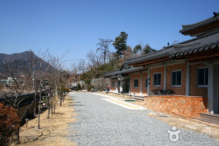 [Daegu] Museum für natürliche Färbekunst (자연염색박물관)