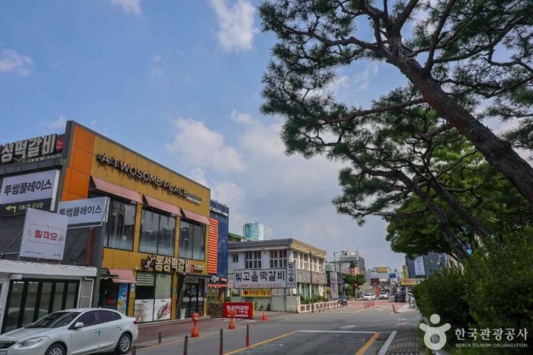 [Gwangju] Tteokgalbi-Gasse Songjeong-dong (광주 송정동 떡갈비 골목)