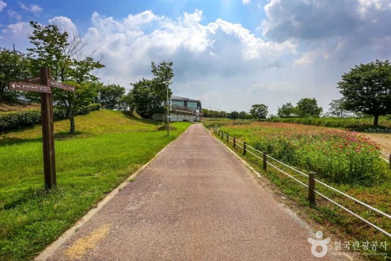 [Gwangju] Fahrradweg Yeongsangang (영산강 자전거길)