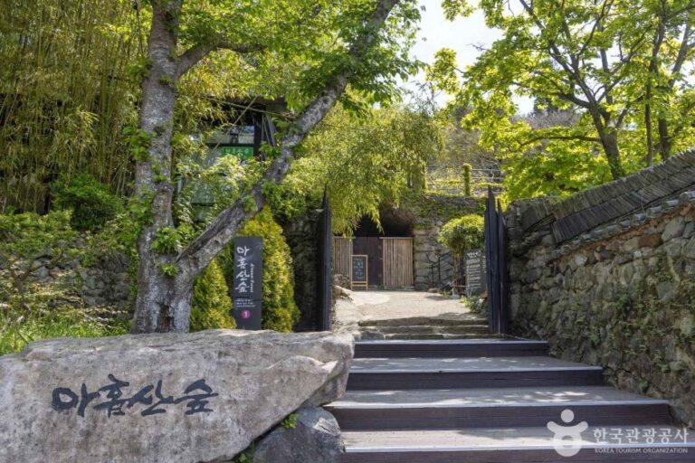 [Busan] Wald Ahopsan (아홉산숲)