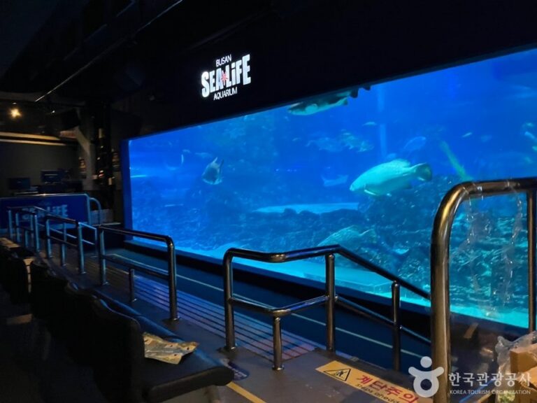 [Busan] SEA LIFE Busan Aquarium (SEA LIFE 부산아쿠아리움)