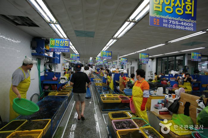 [Busan] Millak Hoe Center (민락어민활어직판장)