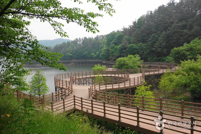 [Sejong] Naturpark Gobok (고복자연공원)
