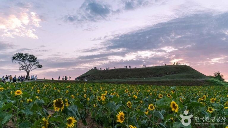 [Gyeonggi-do] Ruinen Yeoncheon Horogoru (연천 호로고루)