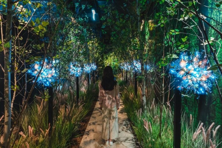 [Gyeonggi-do] Discovery Naturescape Dongtan (디스커버리 네이처스케이프 동탄점)