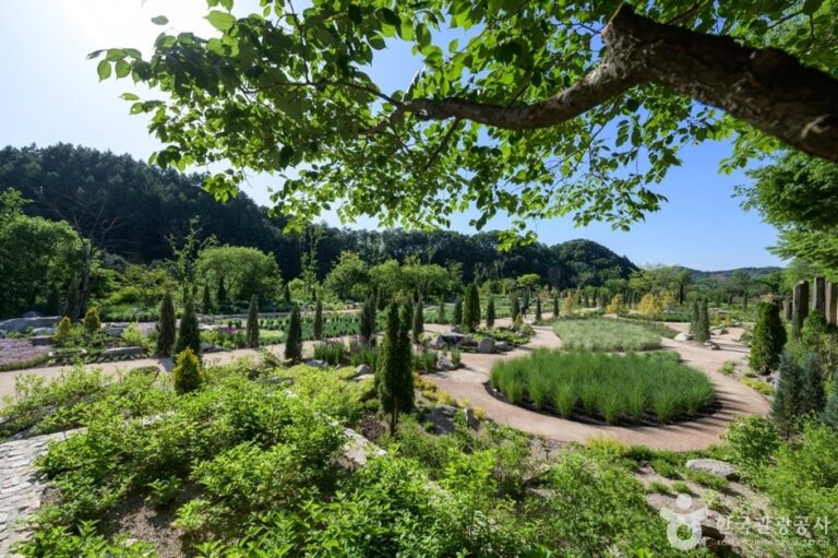 [Gyeonggi-do] The Stay Healing Park (더스테이힐링파크)