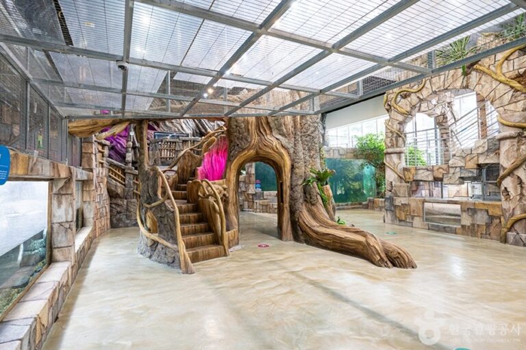 [Gyeonggi-do] Osan Bird Park (오산버드파크)