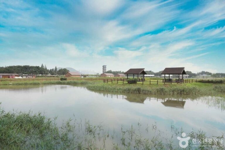 [Gyeonggi-do] Ökopark Siheung Gaetgol (시흥 갯골생태공원)
