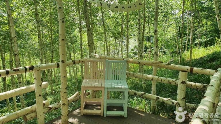 [Gyeonggi-do] Botanischer Garten Hwadam (화담숲)