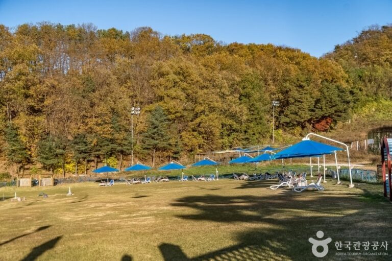 [Gyeonggi-do] Yangji Pine Pet Park (양지파인펫파크)