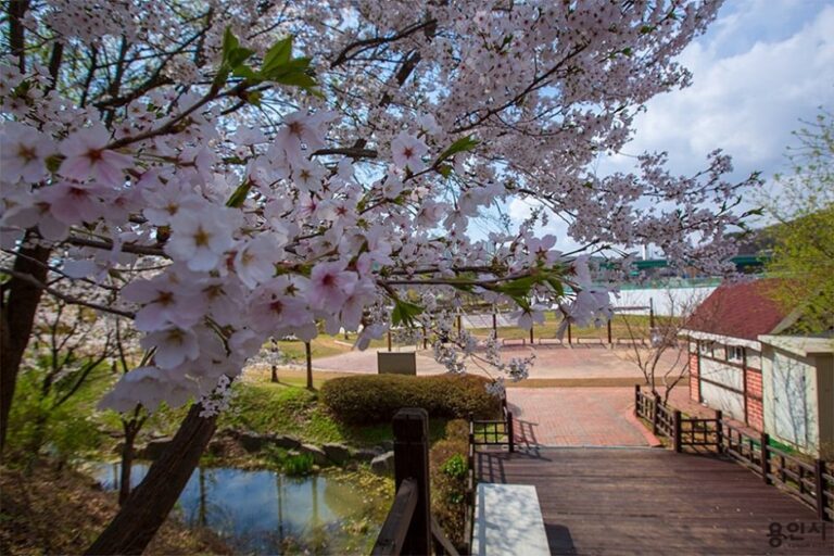 [Gyeonggi-do] Hundespielplatz im Seenpark Giheung (기흥호수공원 반려동물놀이터)