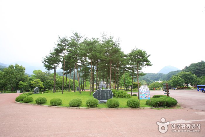 [Gyeonggi-do] Ausflugsgebiet Yongmunsan (용문산 관광지)