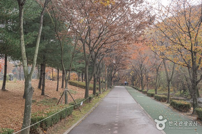 [Gyeonggi-do] Yuldong-Park (율동공원)