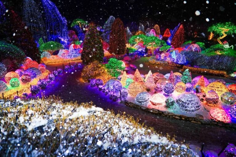 [Gyeonggi-do] Lichterfestival im Arboretum Achim Goyo (아침고요수목원 오색별빛정원전)