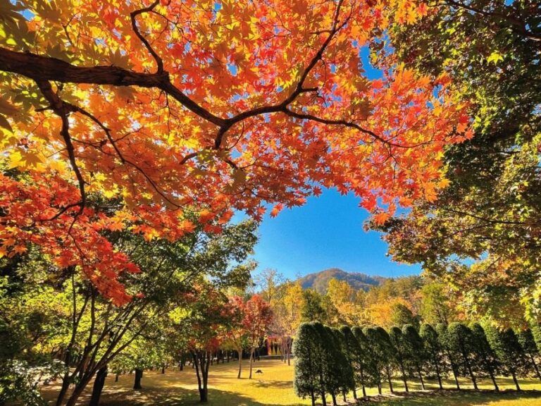 [Gangwon-do] Insel Namisum (남이섬)