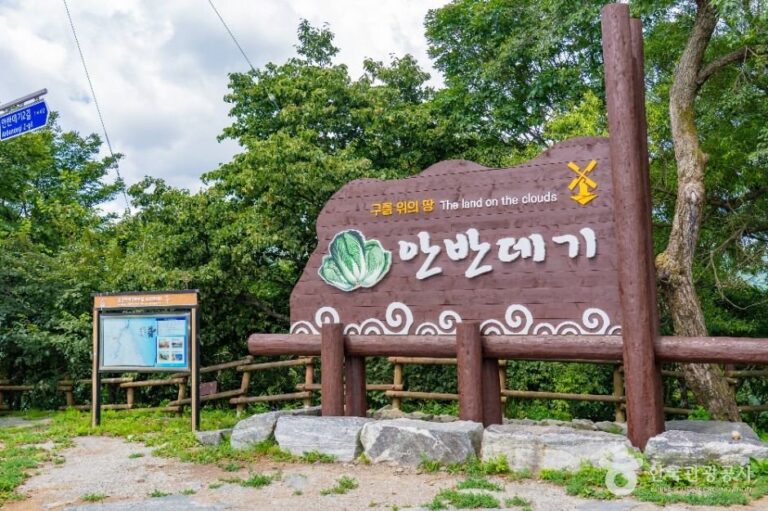 [Gangwon-do] Anbandegi (안반데기)