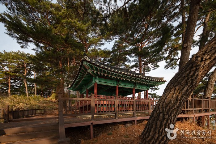 [Gangwon-do] Pavillon Jukdojeong & Aussichtsplattform Jukdo (죽도정&죽도 전망대)