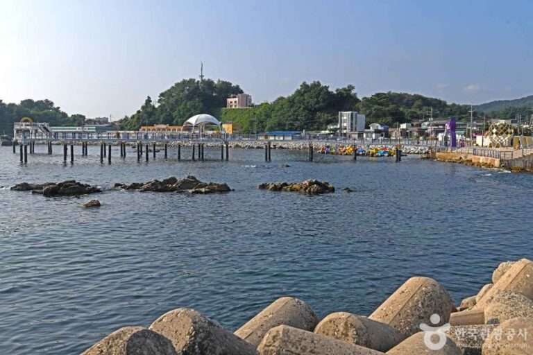 [Gangwon-do] Hafen Daejinhang (대진항)