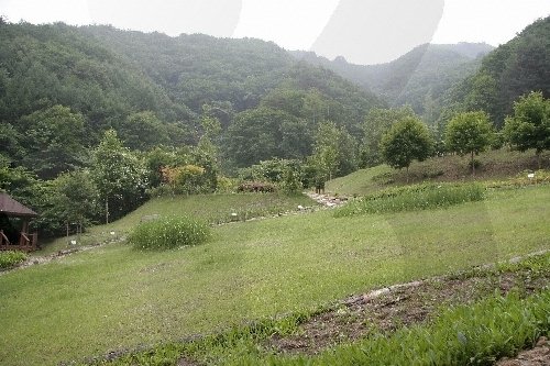 [Gangwon-do] Erholungswald Chiaksan (치악산자연휴양림)