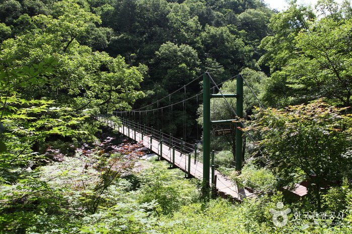 [Gangwon-do] Berg Gongjaksan (공작산)