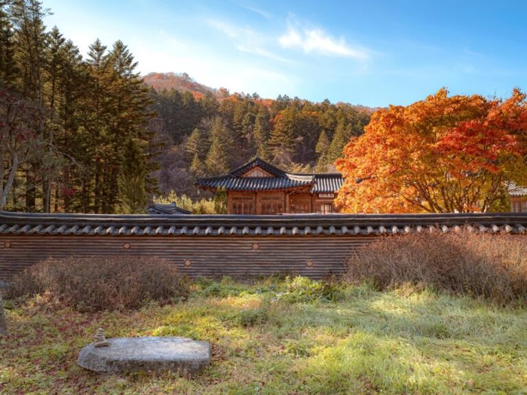 [Gangwon-do] Tempel Woljeongsa & Tannenwald (월정사·월정사 전나무숲)
