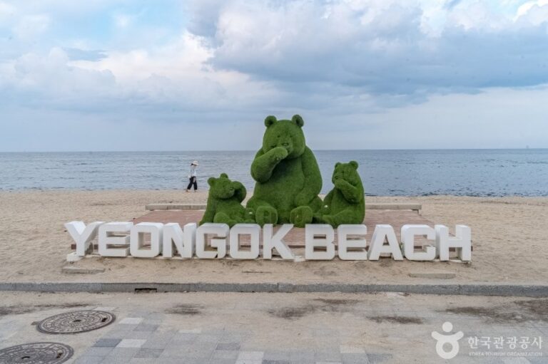 [Gangwon-do] Strand Yeongok (연곡해변(연곡해수욕장))