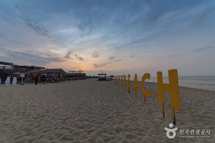 [Gangwon-do] Surfyy Beach Yangyang (서피비치, 서핑(양양))