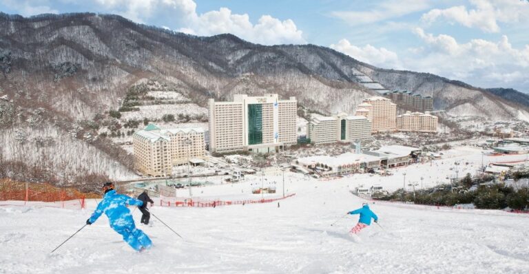 [Gangwon-do] Ski-Resort Vivaldi Park (비발디파크 스키장)