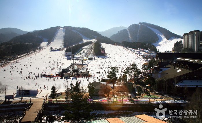[Gangwon-do] Ski-Resort Yongpyong (용평리조트 스키장)