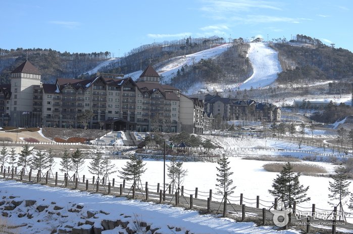 [Gangwon-do] Ski-Resort Alpensia (알펜시아리조트 스키장)