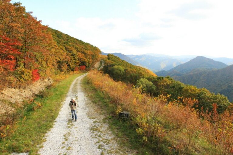 [Gangwon-do] High1 Haneul-gil Trekking (하이원 하늘길 트레킹)