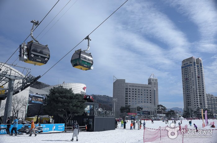 [Gangwon-do] Phoenix Snow Park (휘닉스 스노우파크)