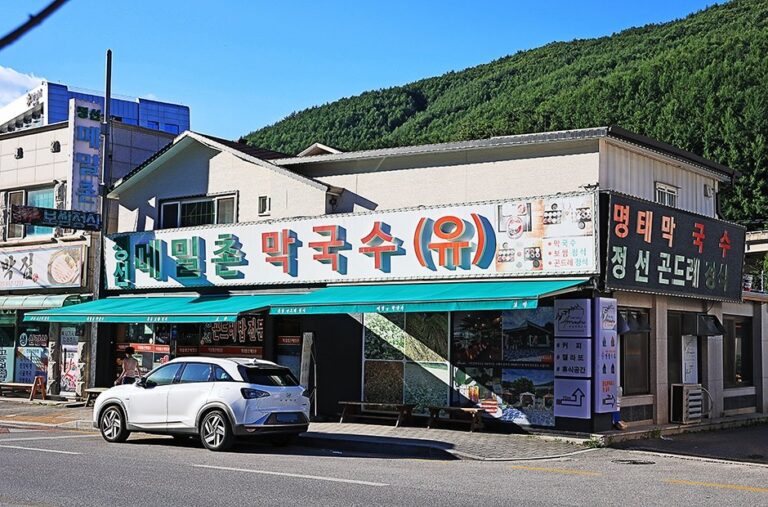 [Gangwon-do] Memilchon Makguksu (메밀촌막국수)