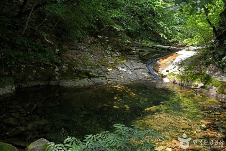 [Chungcheongnam-do] Tal Donghaksagyegok (동학사계곡)