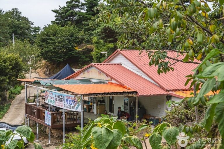 [Chungcheongnam-do] Maljae Farm (말재 농원)