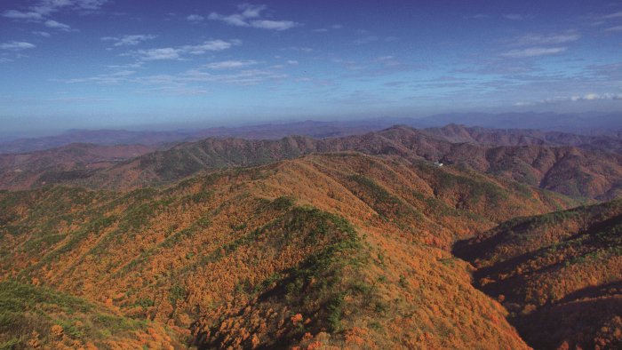 [Chungcheongnam-do] Provinzpark Chilgapsan (칠갑산도립공원)