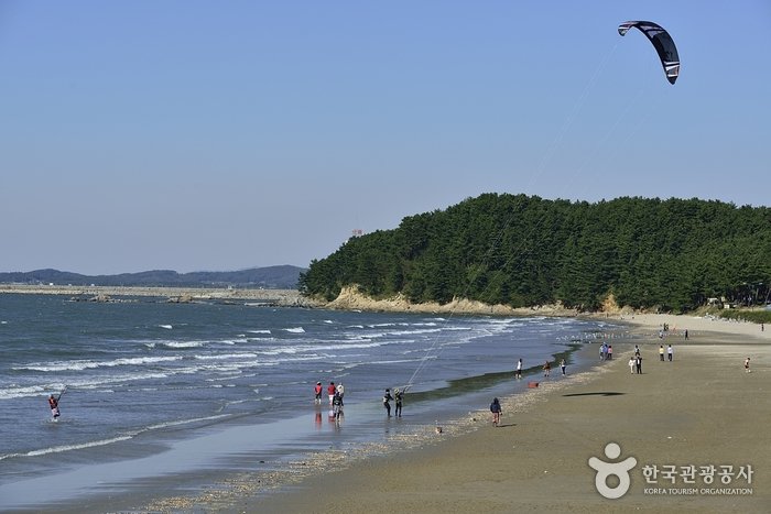 [Chungcheongnam-do] Strand Chunjangdae (춘장대해수욕장)