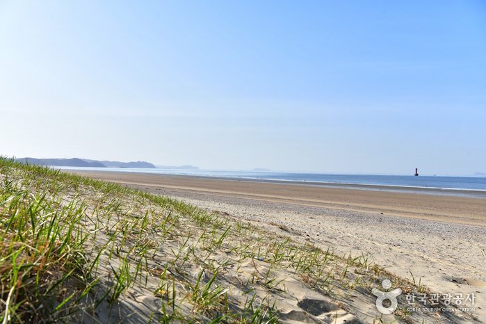 [Chungcheongnam-do] Strand Sambong (삼봉해수욕장)