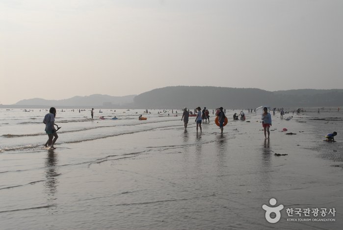 [Chungcheongnam-do] Strand Mongsanpo (몽산포해수욕장)