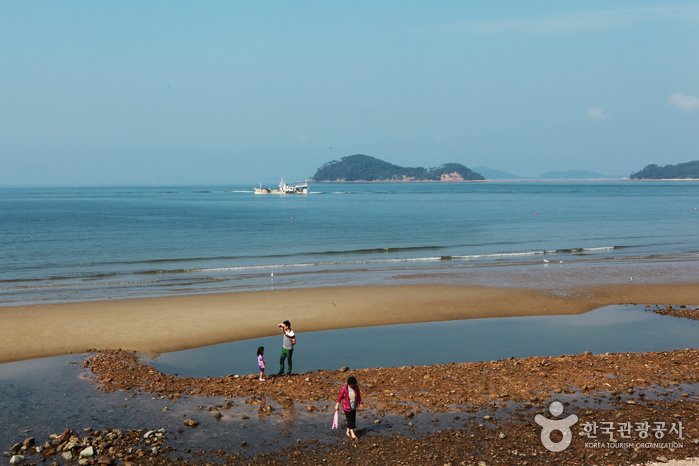 [Chungcheongnam-do] Insel Anmyeondo (안면도)